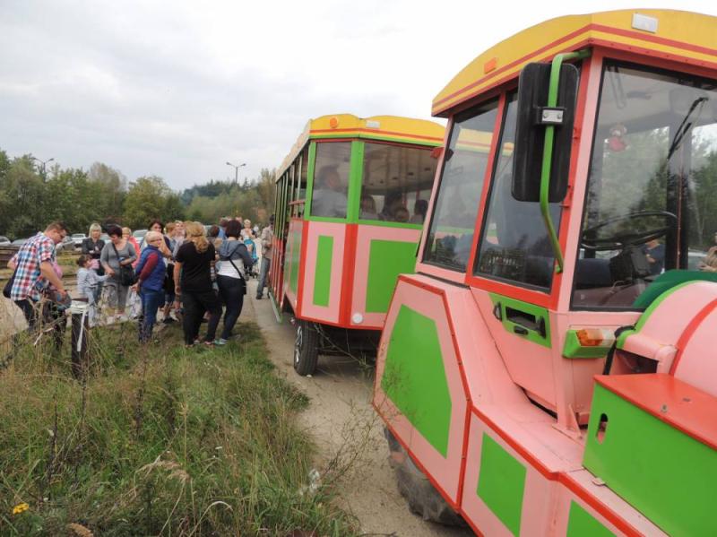 Dzień Sandacza 2014 kolejka
