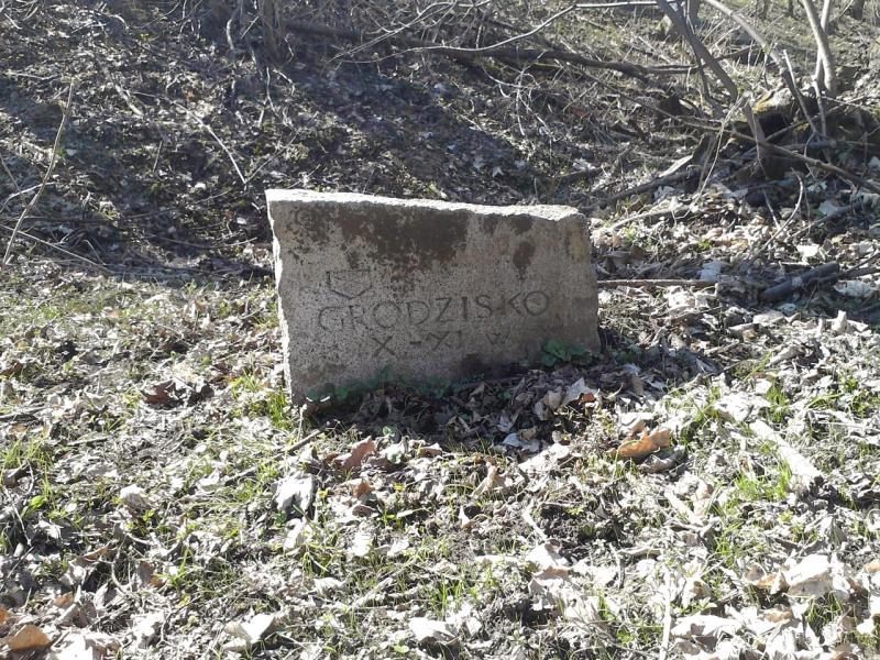 Grodzisko w Milinie 2013