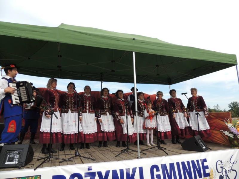 Dożynki gminne w Mietkowie 2013 Listek Koniczyny