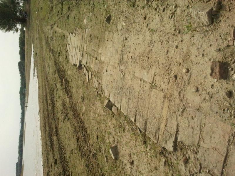 Cegielnia Borzygniew 2015