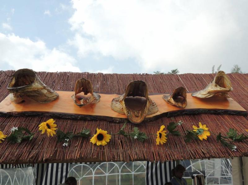 Dzień Sandacza 2014 pogłowie ryb