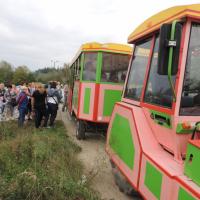 Dzień Sandacza 2014 kolejka