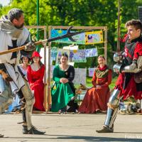 Dzień Lilaka 2018 Chorągiew Piastów Śląskich walka