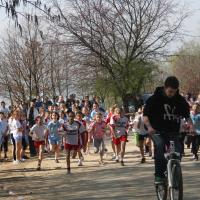 Biegi przełajowe nad Zalewem Mietkowskim 2012 start