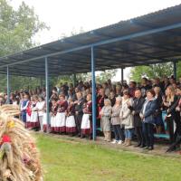 Dożynki gminne w Mietkowie 2017 publiczność