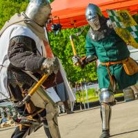 Dzień Lilaka 2018 Chorągiew Piastów Śląskich pokaz